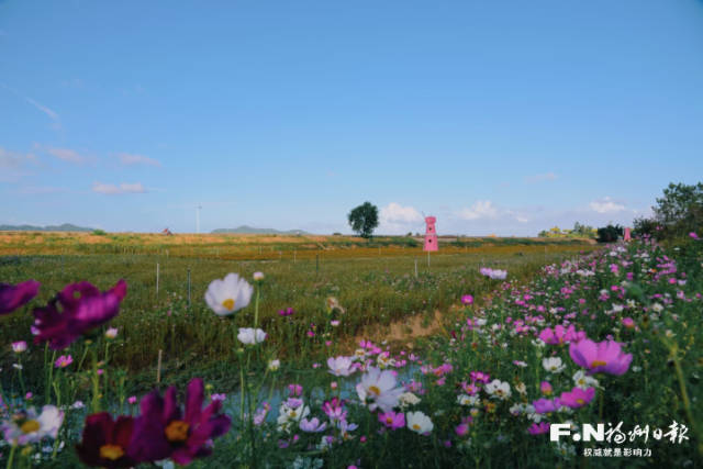長樂潭頭鎮(zhèn)文石村煥發(fā)新生