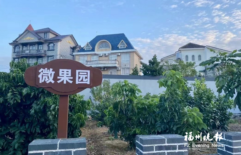 長樂東平村：繪就宜居鄉村新畫卷