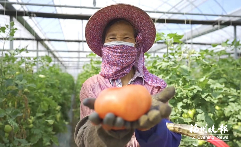 長樂東平村：繪就宜居鄉村新畫卷